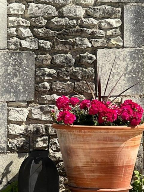 Les Coindries Holiday home Faye-la-Vineuse